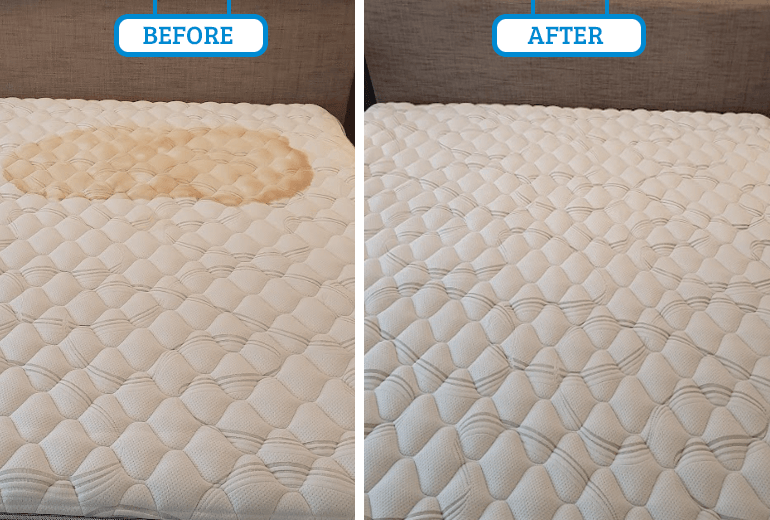 Mattress Cleaning Company In Adelaide