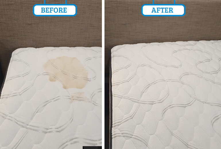 Mattress Cleaning Company In Adelaide