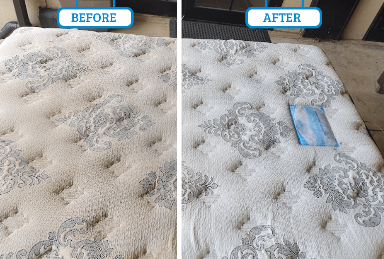 Mattress Cleaning in Adelaide